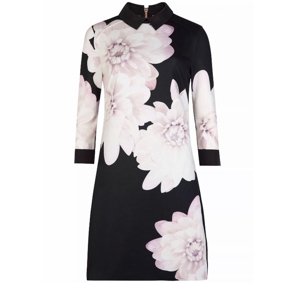 Ted Baker 3 Retro Collar Floral Kida Sheath Dress - Picture 6 of 8